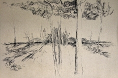 'HAGERLANDSCHAFT',  2003, charcoal on paper