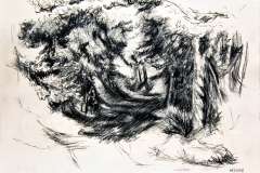 'WALDVERSCHLUCHTUNG', 2002, charcoal on paper