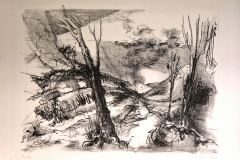 'WENN MICH DER KOPF INS FERNE FÜHRT', 2004, lithography